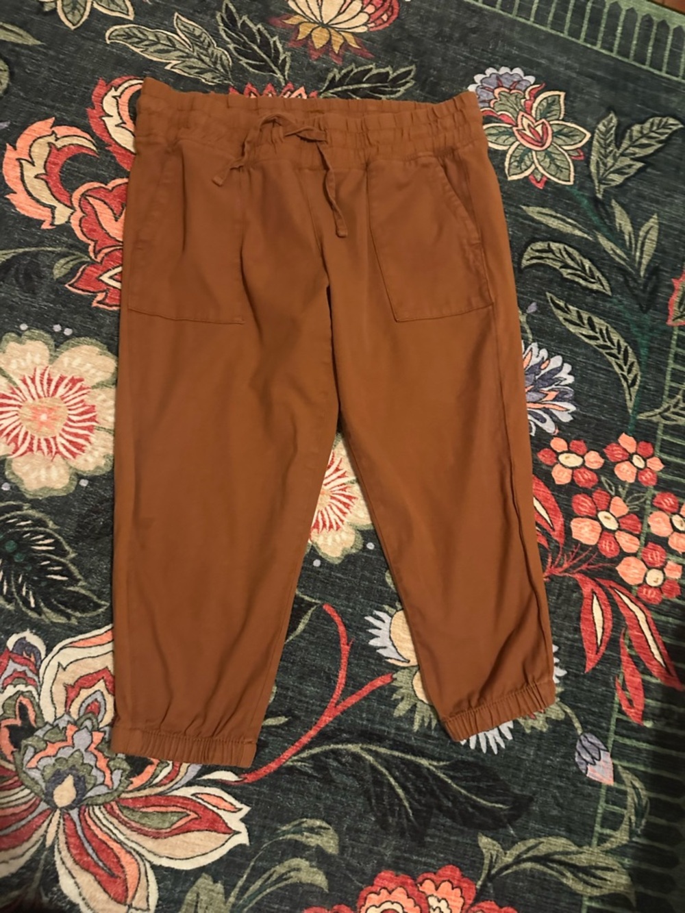 3/$25 🍂 Time and Tru Rust Brown Jogger Pants Size XXL (20)
